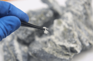 Fibre d’amiante friable détectée dans un bâtiment commercial