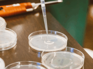 Technicien versant un liquide stérile dans des boîtes de Petri dans un laboratoire pharmaceutique, illustrant les protocoles de nettoyage sur mesure et la prévention des contaminations